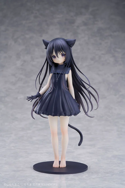 MÔ HÌNH "Hoshizora Tetsudou to Shiro no Tabi" Noir 1/7 Complete Figure(SUNDROPS) FIGURE CHÍNH HÃNG 1 Figure 185986 01