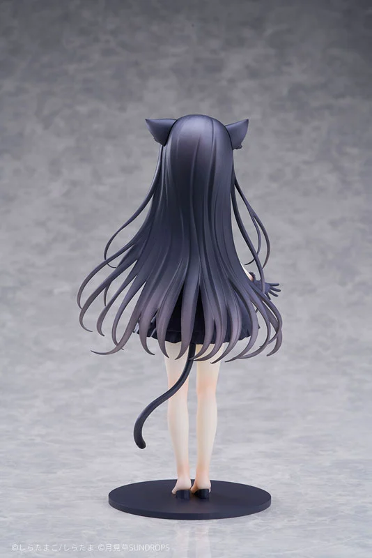 MÔ HÌNH "Hoshizora Tetsudou to Shiro no Tabi" Noir 1/7 Complete Figure(SUNDROPS) FIGURE CHÍNH HÃNG 3 Figure 185986 07