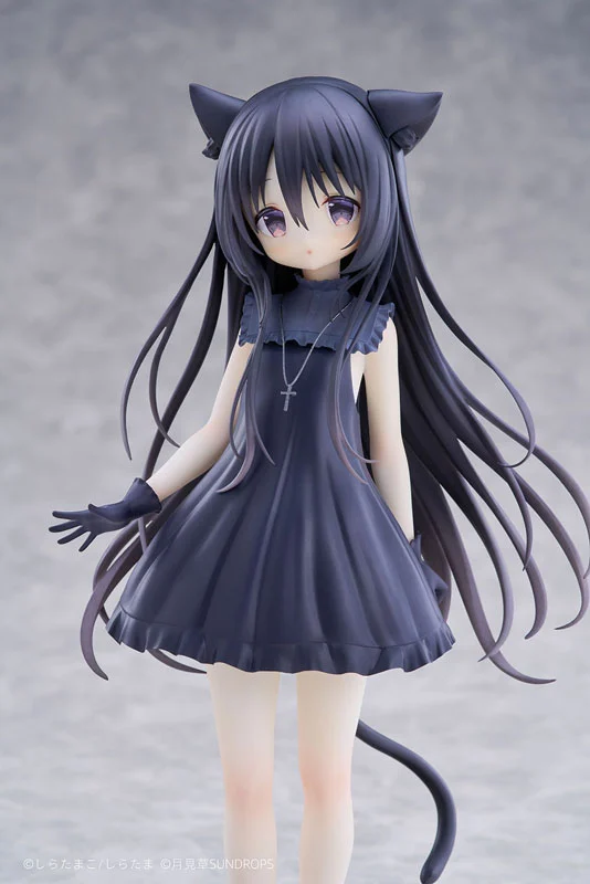 MÔ HÌNH "Hoshizora Tetsudou to Shiro no Tabi" Noir 1/7 Complete Figure(SUNDROPS) FIGURE CHÍNH HÃNG 2 Figure 185986 11